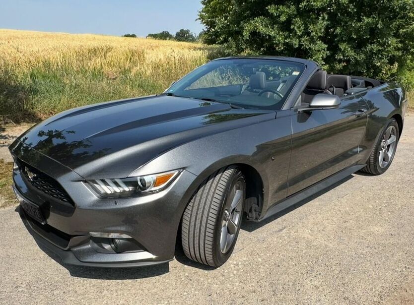 Mustang