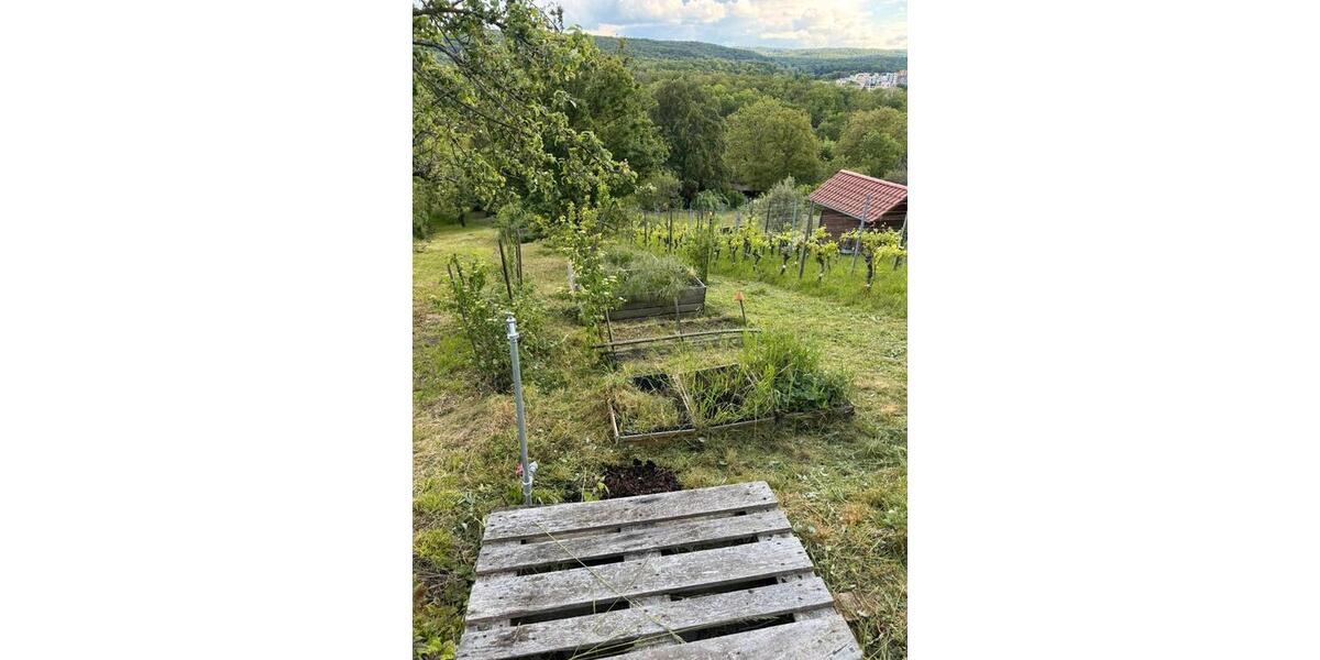 Grundstück Stuttgart Feuerbach - 50&euro; | Angebot:26693203