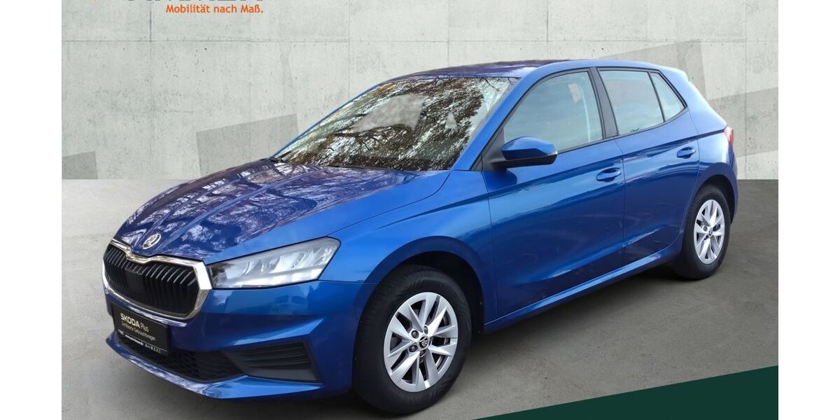 Skoda Fabia 26.379 km 14.890 &euro; Lingen 49808