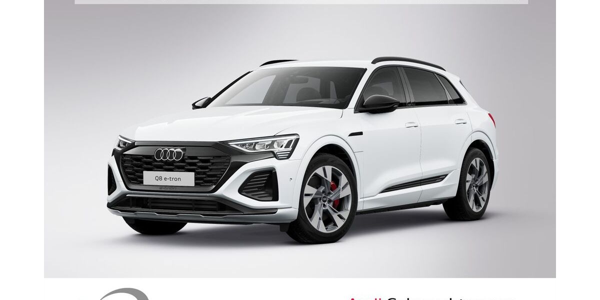 Audi Q8 e-tron 33.927 km 55.900 &euro; Ludwigshafen 67063
