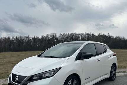 Nissan Leaf 79.890 km 12.100 &euro; Geesthacht 21502