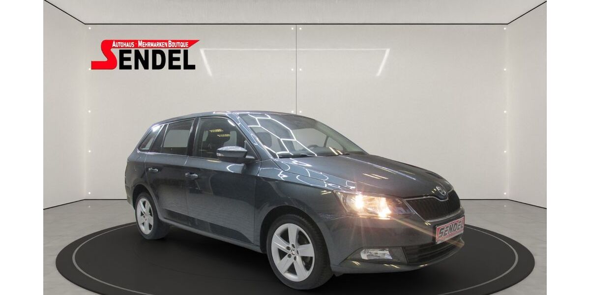 Skoda Fabia 108.612 km 8.999 &euro; Hof 95030