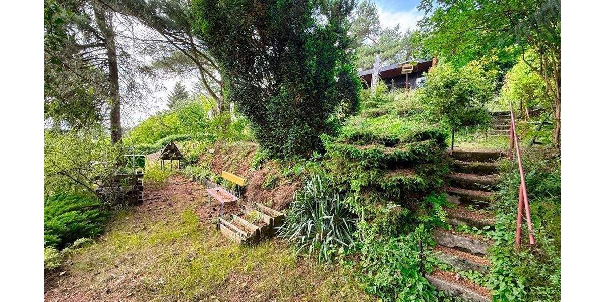 Grundstück Bad Schmiedeberg Großwig - 44.000&euro; | Angebot:25679426