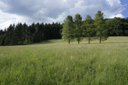 Grundstück Weilheim - 88.000&euro; | Angebot:25918204