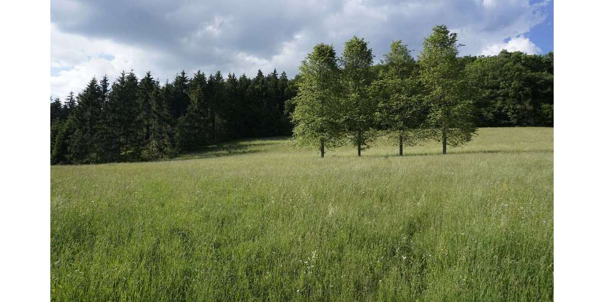 Grundstück Weilheim - 88.000&euro; | Angebot:25918204