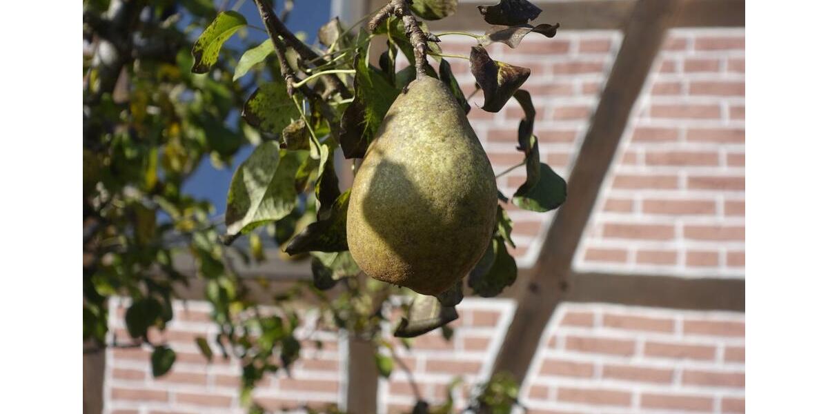 Einfamilienhaus Uslar - 9 Zimmer, 170 m&sup2;, 190.000&euro; | Angebot:25180053