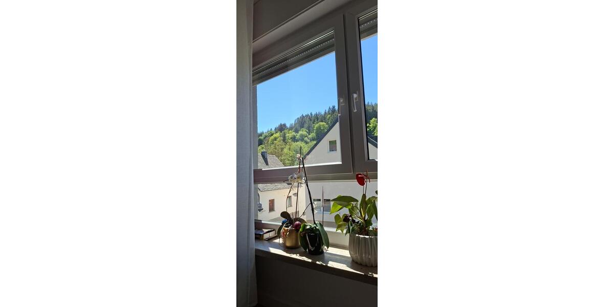 Etagenwohnung Waldrach - 3 Zimmer, 105 m&sup2;, 850&euro; | Angebot:26408066