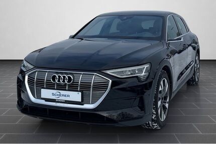 Audi e-tron 21.060 km 35.480 &euro; Mainz 55129