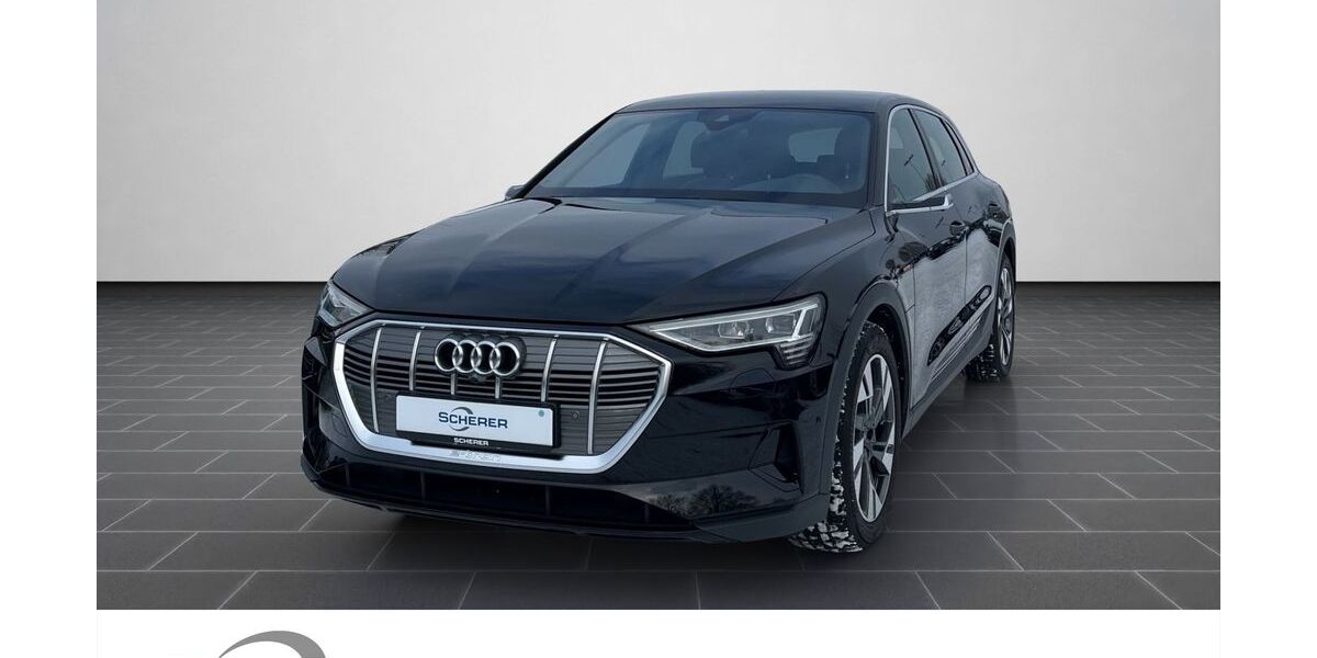 Audi e-tron 21.060 km 35.980 &euro; Mainz 55129