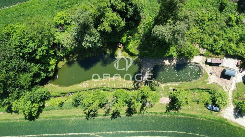 Einfamilienhaus Bad Griesbach im Rottal Zachstorf - 1 Zimmer, 272 m&sup2;, 1.499.999&euro; | Angebot:24423541