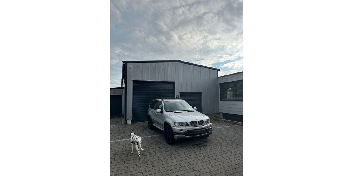 BMW X5 302.311 km 7.777 &euro; Hauneck 36382
