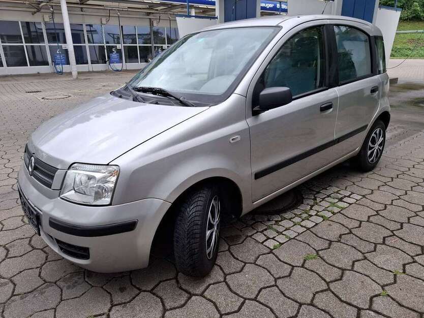 Panda