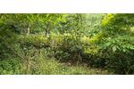 Einfamilienhaus Neunburg vorm Wald - 29.500&euro; | Angebot:27164045