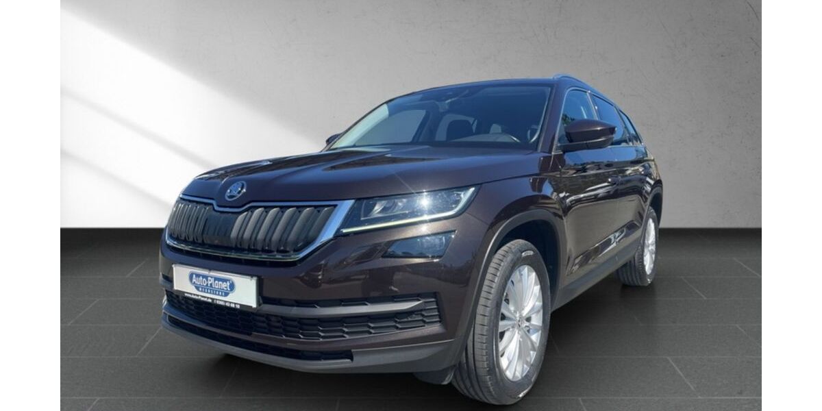 Skoda Kodiaq 126.301 km 24.490 &euro; Gera 07554