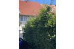 Einfamilienhaus Bad Windsheim - 5 Zimmer, 150 m&sup2;, 295.000&euro; | Angebot:26963229