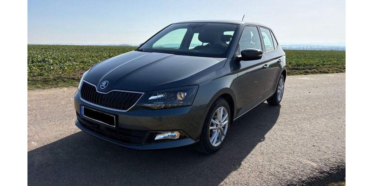 Skoda Fabia 82.000 km 9.500 &euro; Molschleben 99869