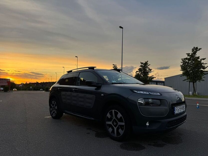 C4 Cactus