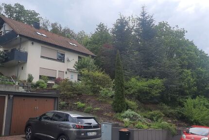 Peugeot 3008 120.000 km 14.500 &euro; Euerbach 97502