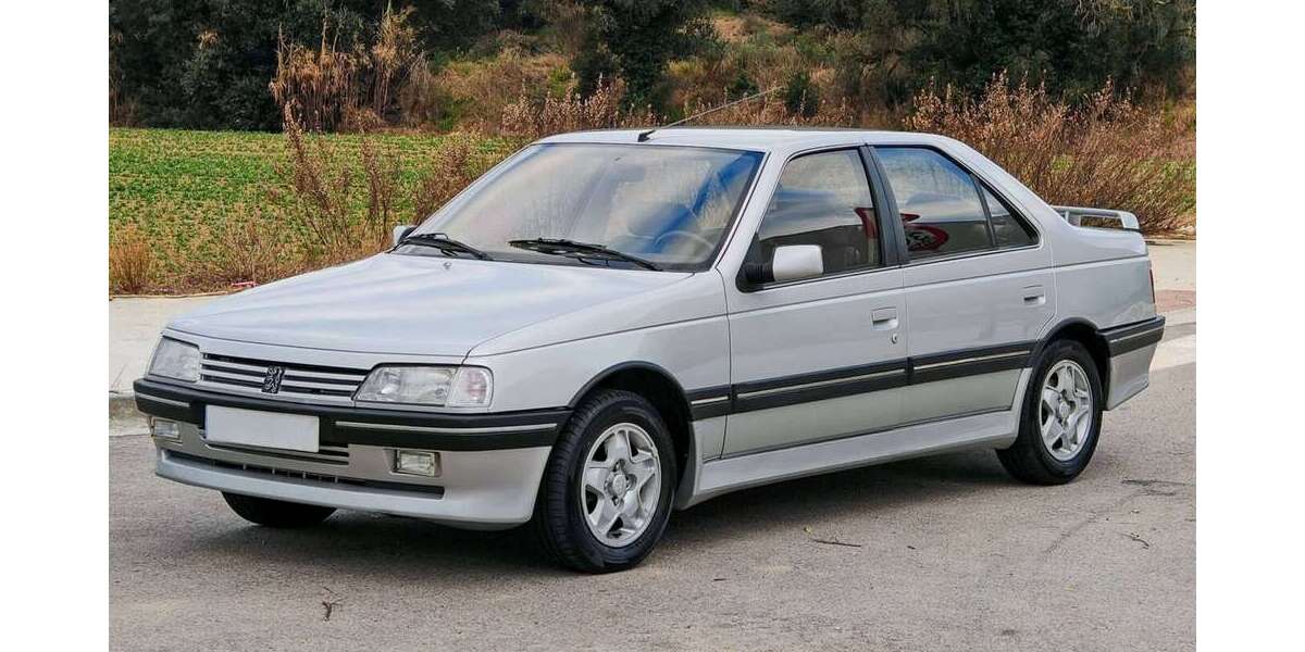 Peugeot 405 179.000 km 9.000 &euro; Dillingen 66763