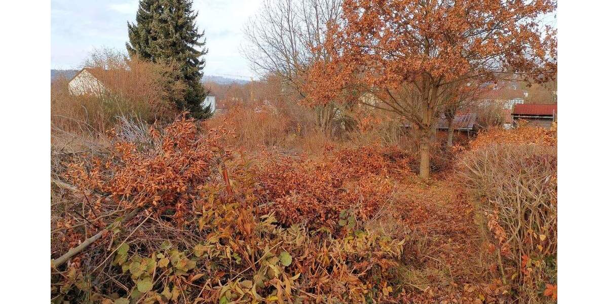 Grundstück Schirnding - 62.000&euro; | Angebot:23813069