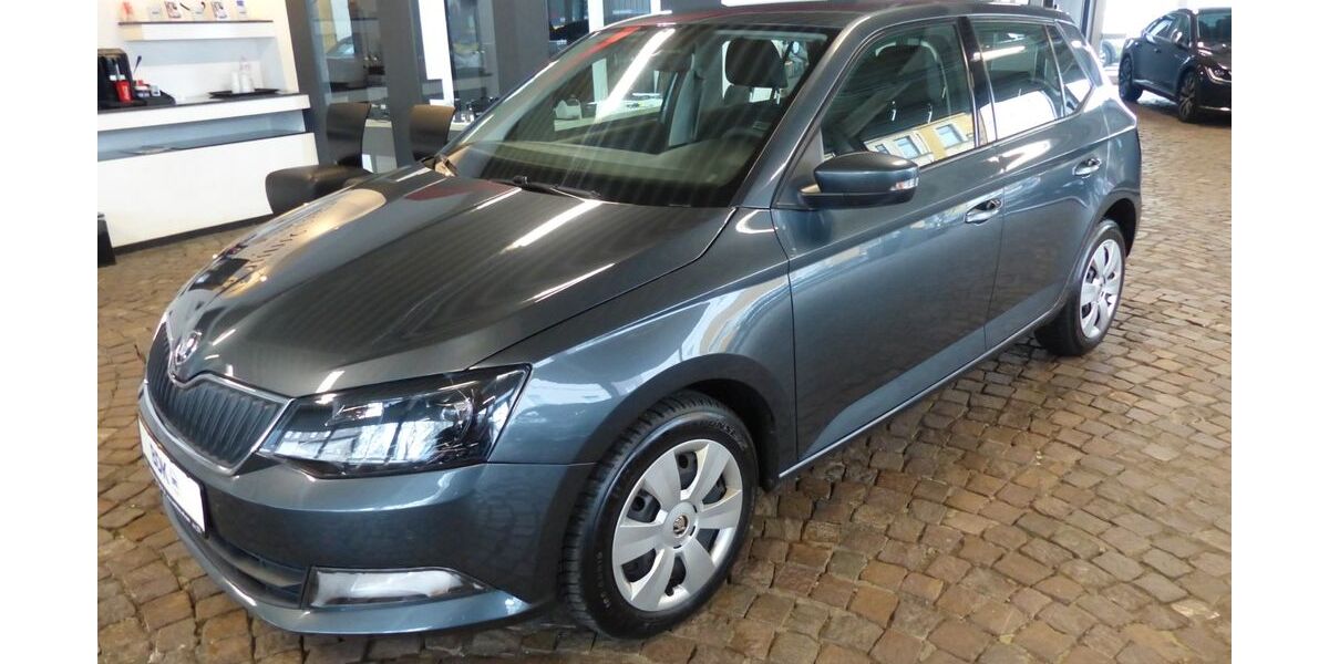 Skoda Fabia 117.585 km 10.850 &euro; Gelsenkirchen 45888