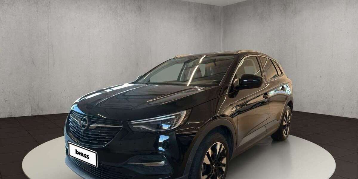 Opel Grandland X 28.700 km 20.950 &euro; Alzenau 63755