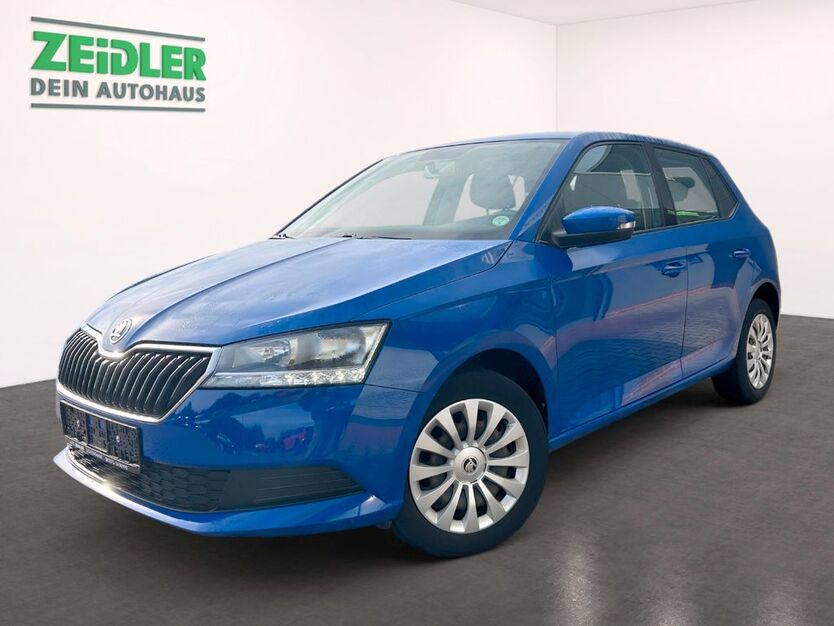 Skoda Fabia 60.695 km 10.450 € Mylau 08499