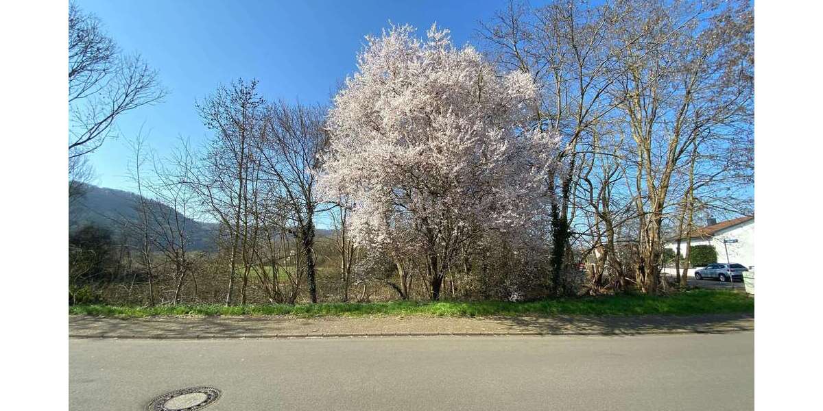 Grundstück zu verkaufen in Dillingen 320.000 € 1578 m² zimmer