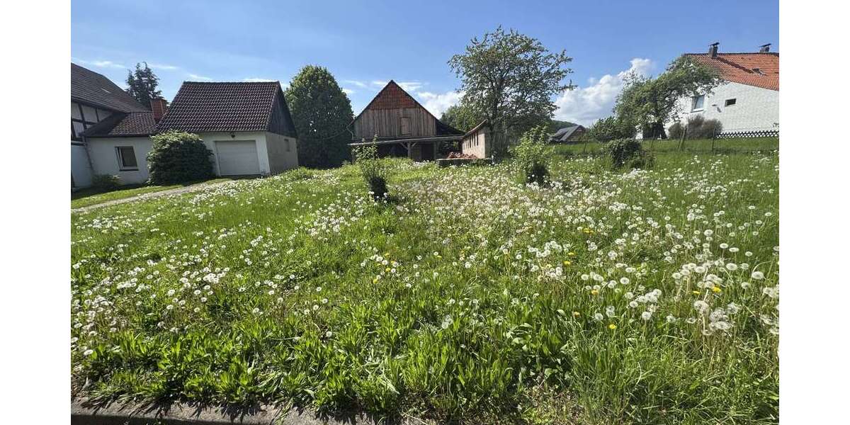 Grundstück Freden (Leine) - 48.000&euro; | Angebot:26935375