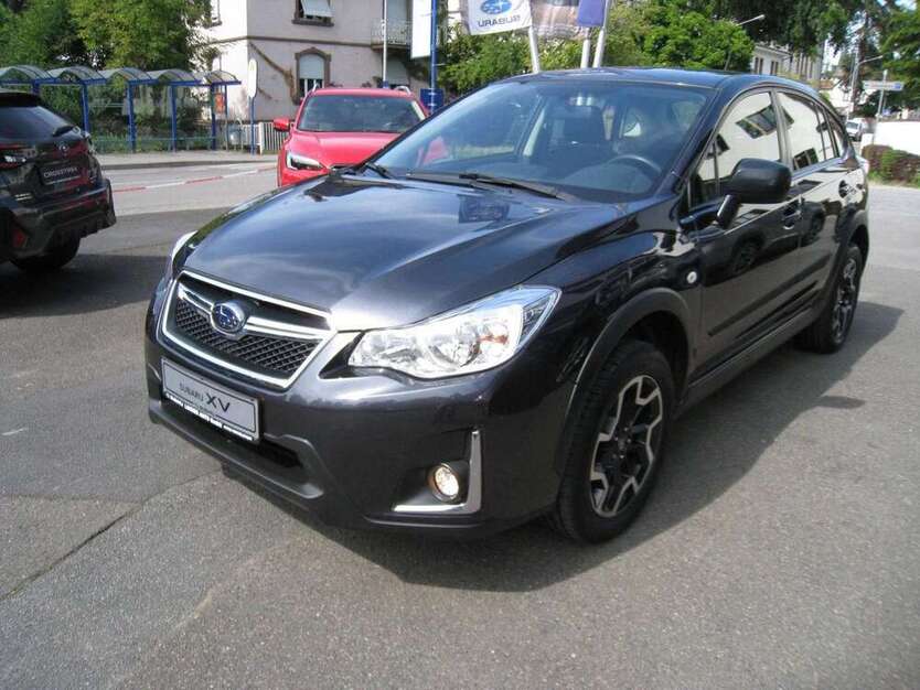 XV