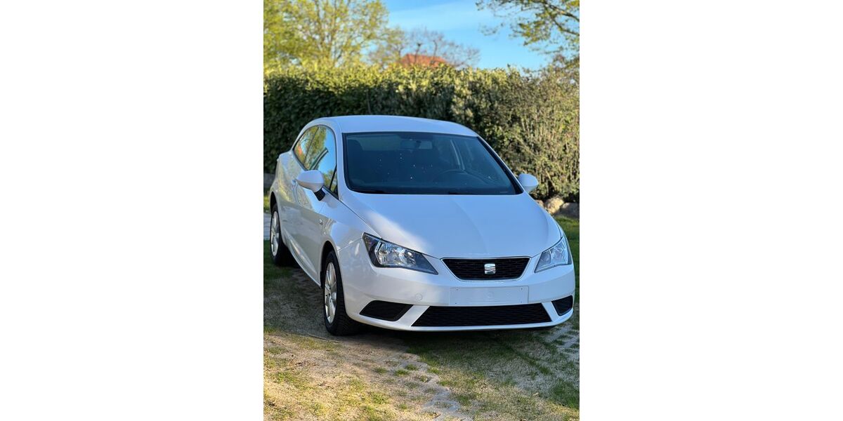 Seat Ibiza 84.810 km 6.499 &euro; Bültum 31167