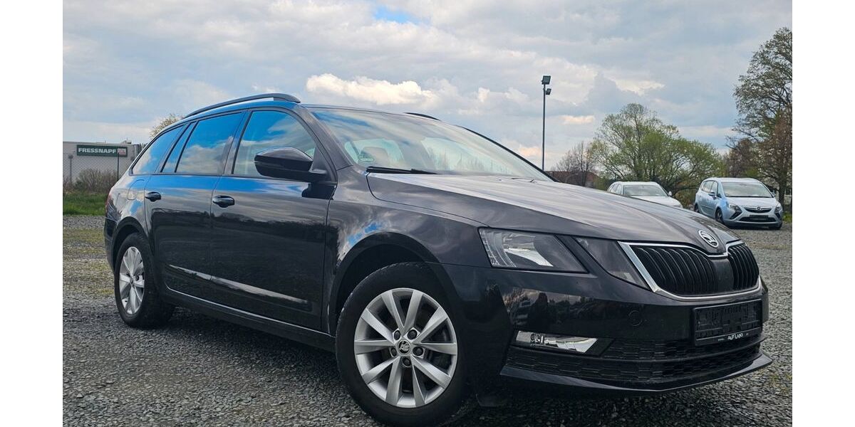 Skoda Octavia 78.456 km 17.499 &euro; Schleifreisen 07629