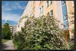 Etagenwohnung Klipphausen - 3 Zimmer, 65 m&sup2;, 79.000&euro; | Angebot:26806725
