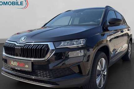 Skoda Karoq 96.297 km 24.999 &euro; Schnaittach 91220