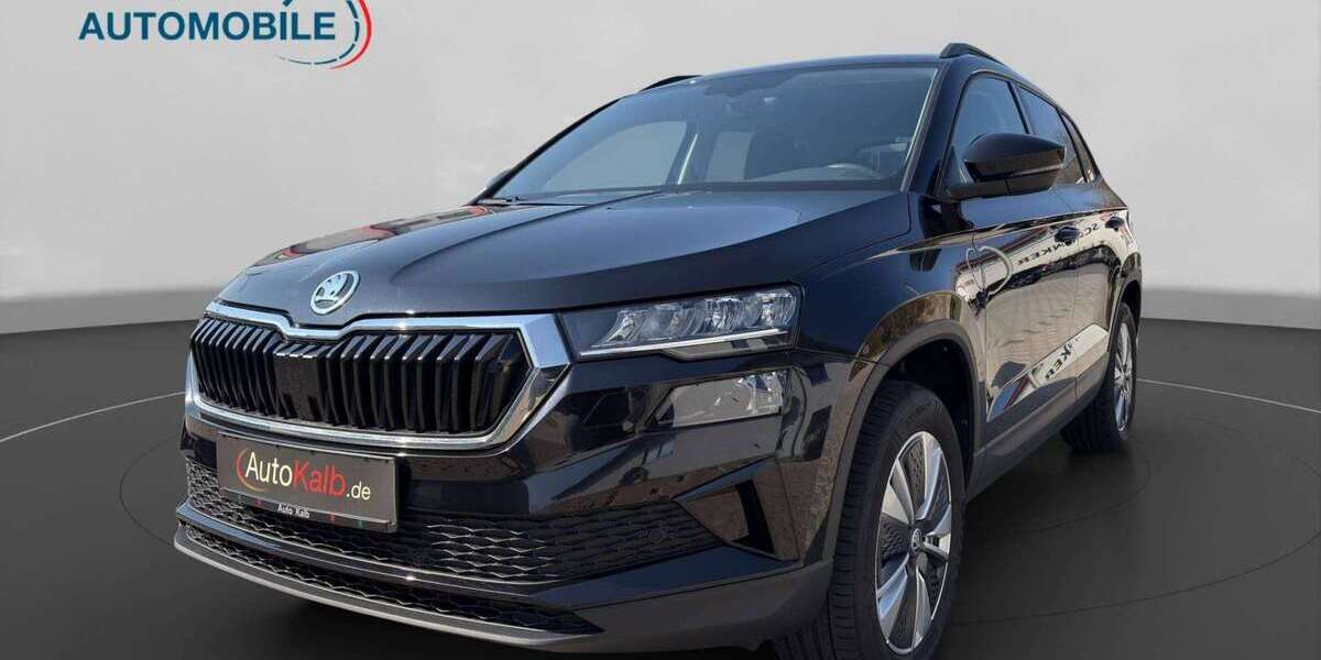 Skoda Karoq 96.297 km 24.999 &euro; Schnaittach 91220