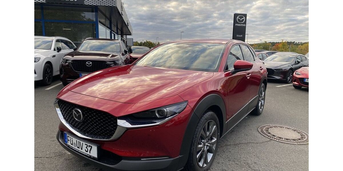 Mazda CX-30 3.524 km 33.460 &euro; Zirndorf 90513