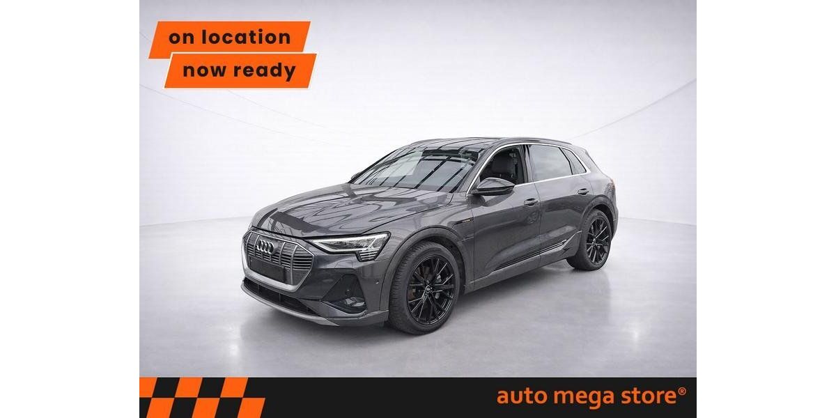 Audi e-tron 80.079 km 32.399 &euro; Ergolding 84030