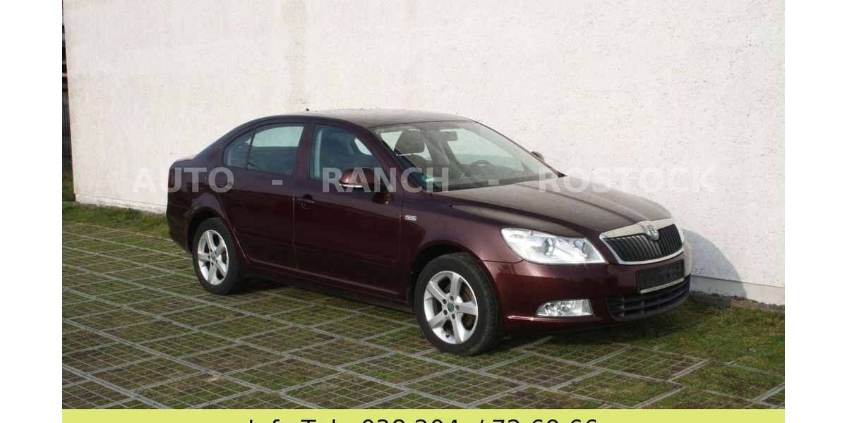 Skoda Octavia 270.000 km 4.350 &euro; Broderstorf OT Pastow 18184