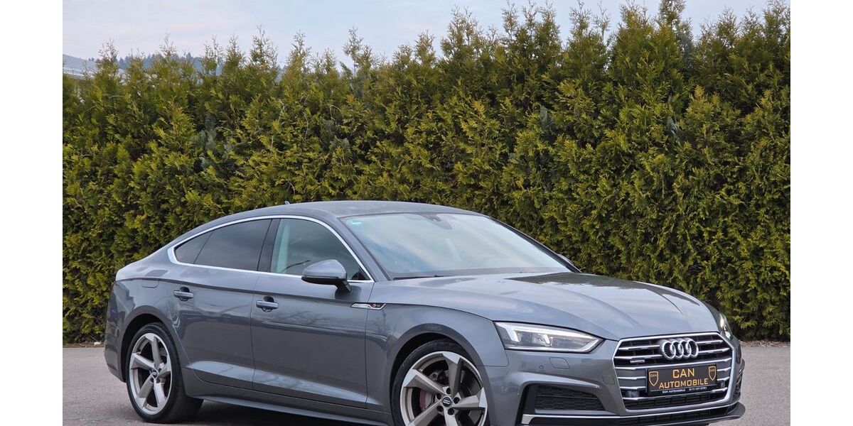 Audi A5 127.000 km 24.900 &euro; Trostberg 83308