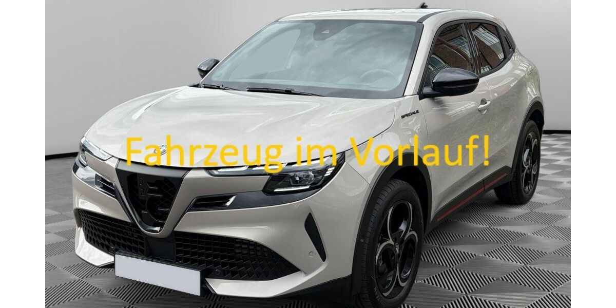 Alfa Romeo Junior 27.313 km 25.990 &euro; Hanstedt 21271