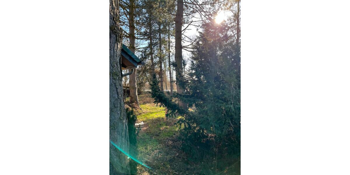 Bungalow Leipzig Altwest - 1 Zimmer, 50 m&sup2;, 101.800&euro; | Angebot:26680936