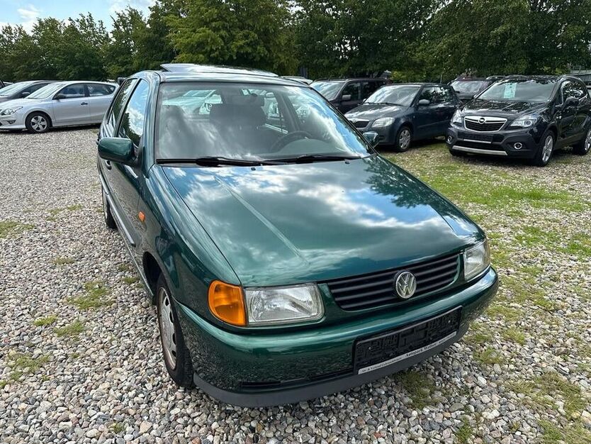 Polo