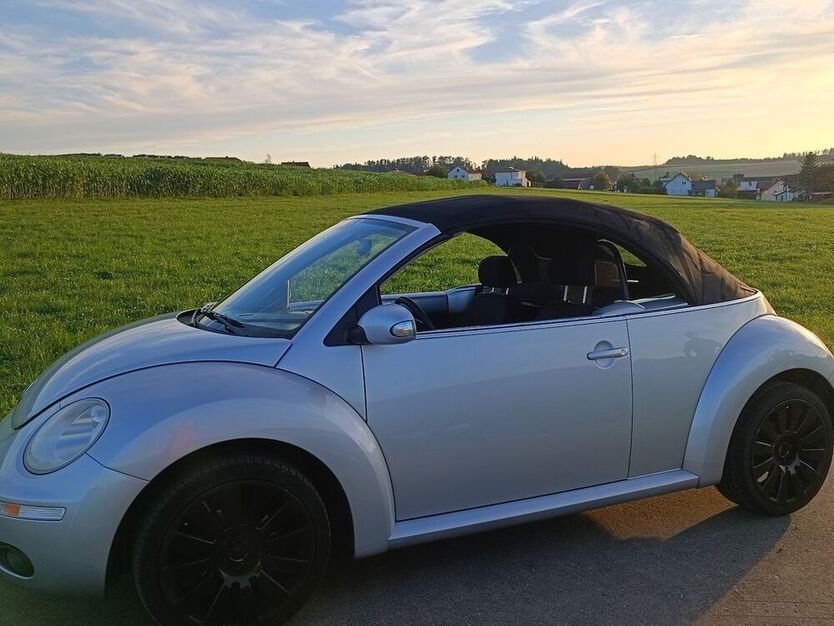 Beetle