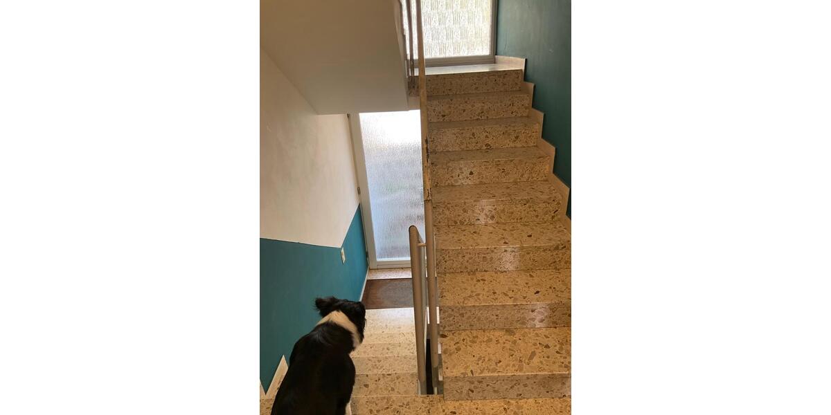 Reihenhaus Düsseldorf Stadtbezirk 8 - 6 Zimmer, 177 m&sup2;, 695.000&euro; | Angebot:26429377