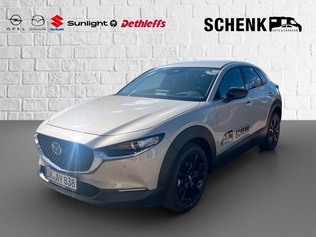 CX-30