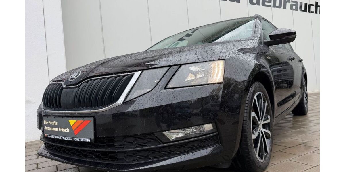 Skoda Octavia 175.538 km 11.490 &euro; Forstinning bei München 85661