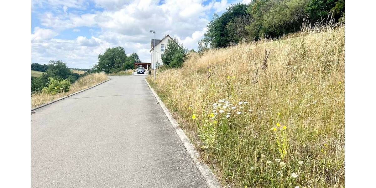 Grundstück Eineborn - 51.680&euro; | Angebot:25685474