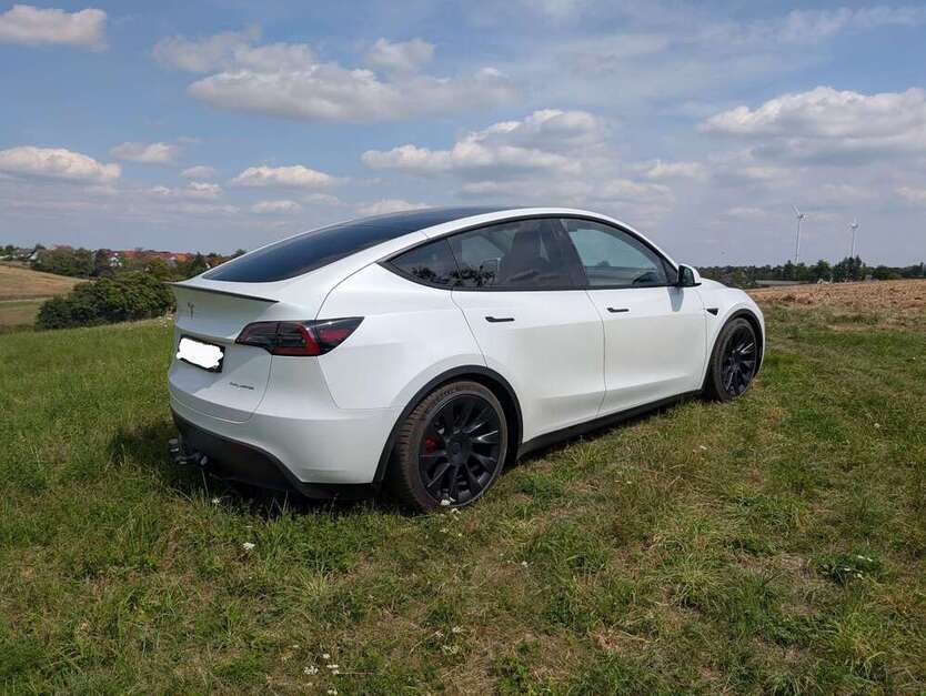 Model Y