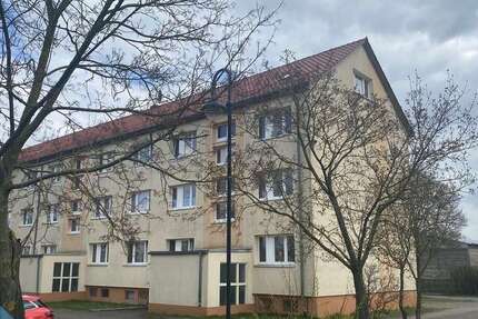 Wohnung zum Mieten in Sandbeiendorf 160 € 31.67 m² 1 zimmer