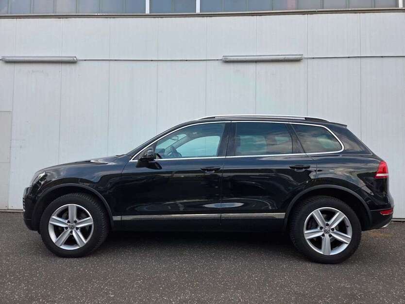 Touareg